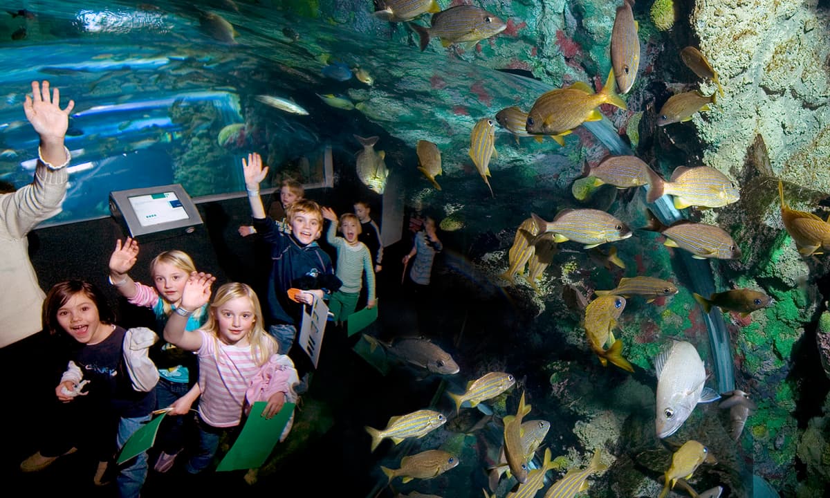 Discovery World's Reiman Aquarium