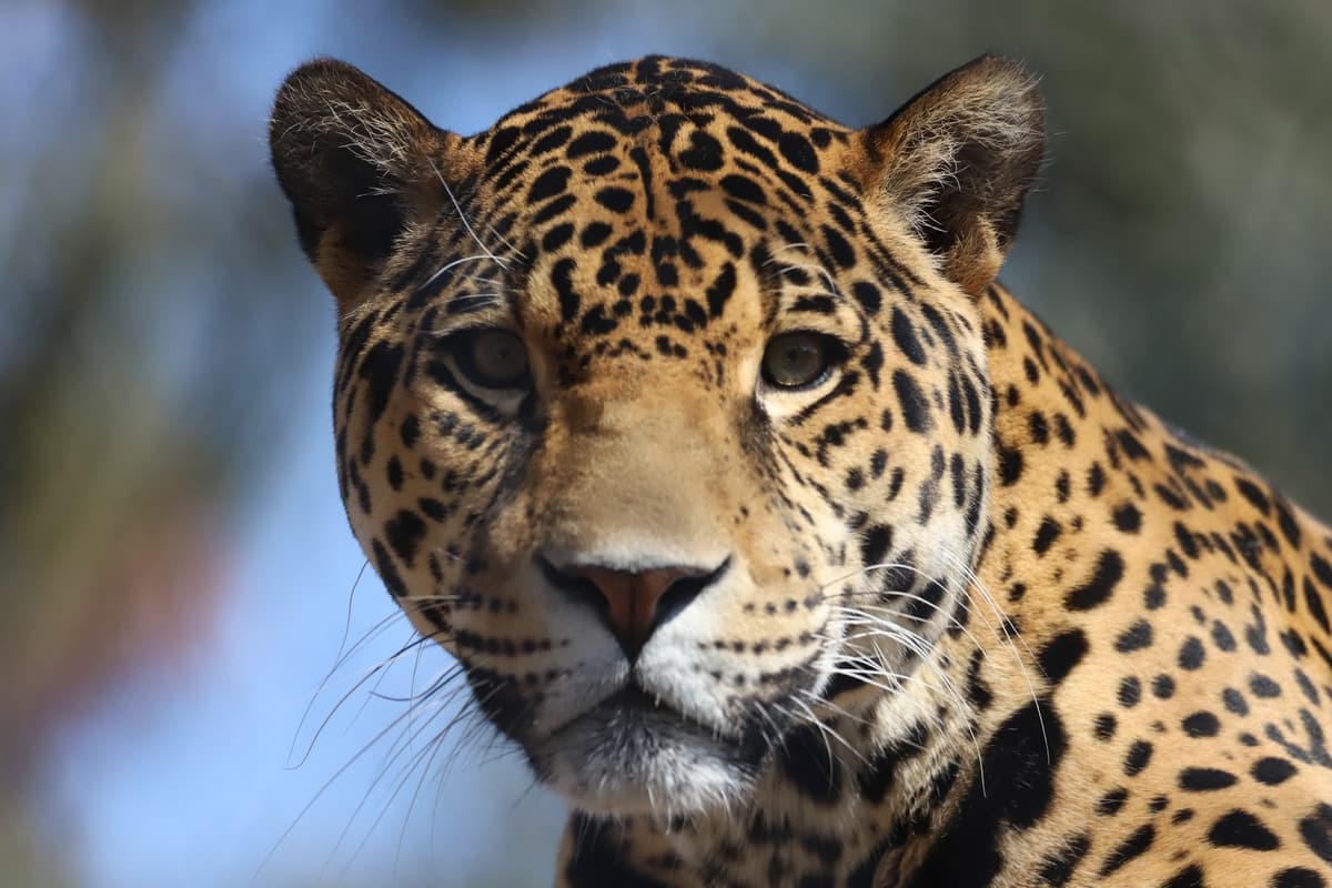 Stone Zoo — photo 1 of 1