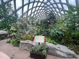 Boettcher Memorial Tropical Conservatory