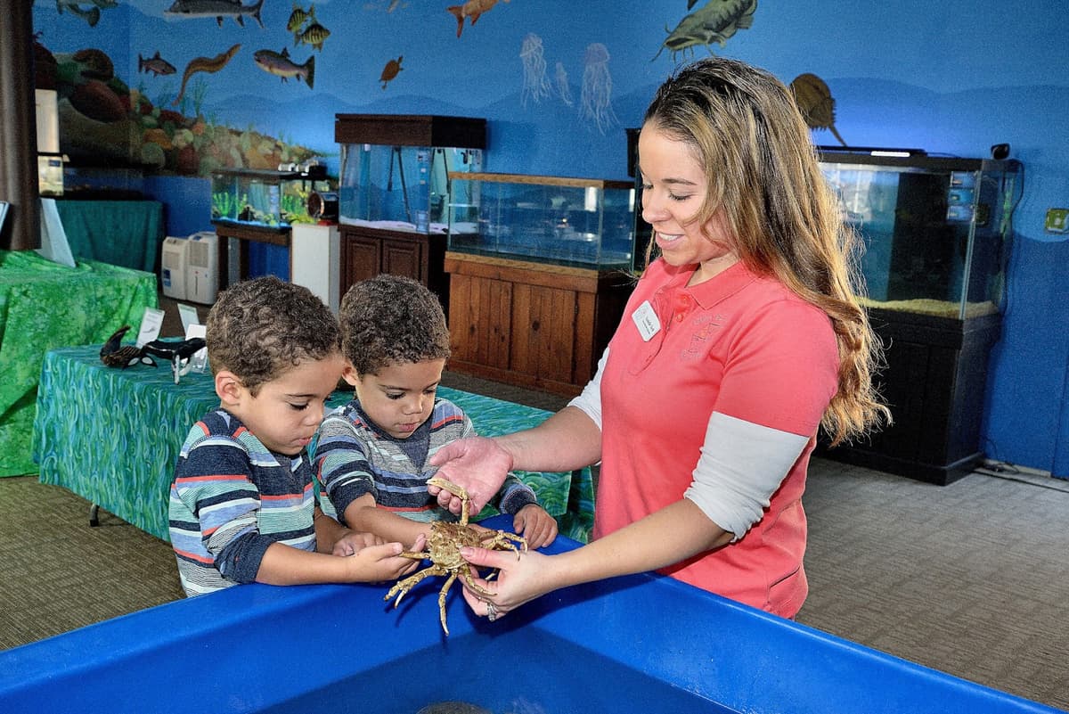 Glen Echo Park Aquarium — photo 1 of 1