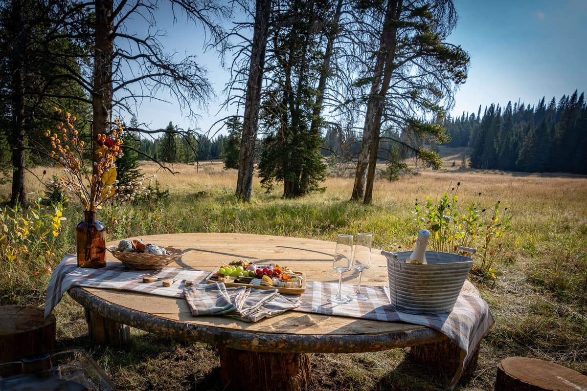 Yellowstone Helicopters