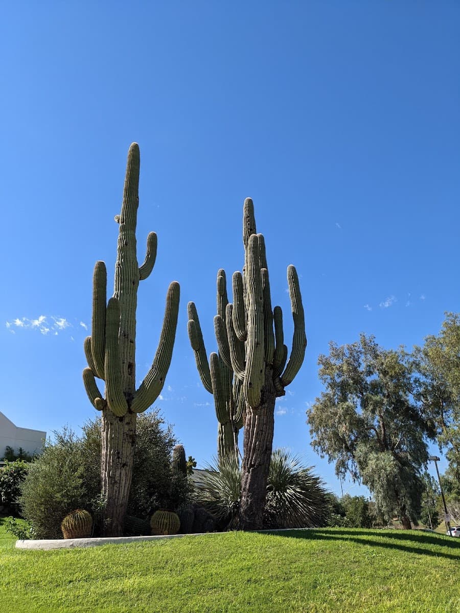 Cactus Park — photo 1 of 1