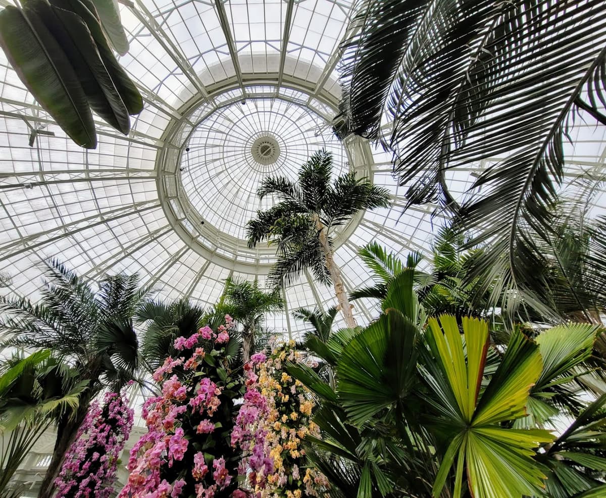 Enid A. Haupt Conservatory, NYBG — photo 1 of 1