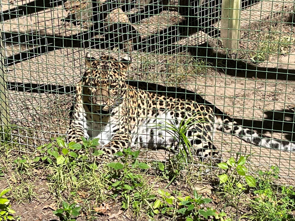 Zoo in Forest Park and Education Center — photo 1 of 1