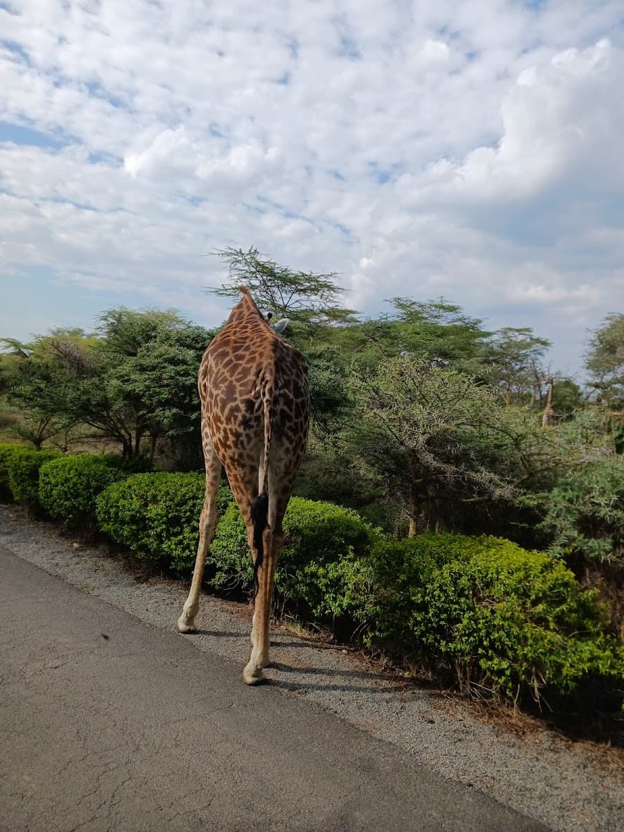 EF Go Ahead Tours — photo 1 of 2