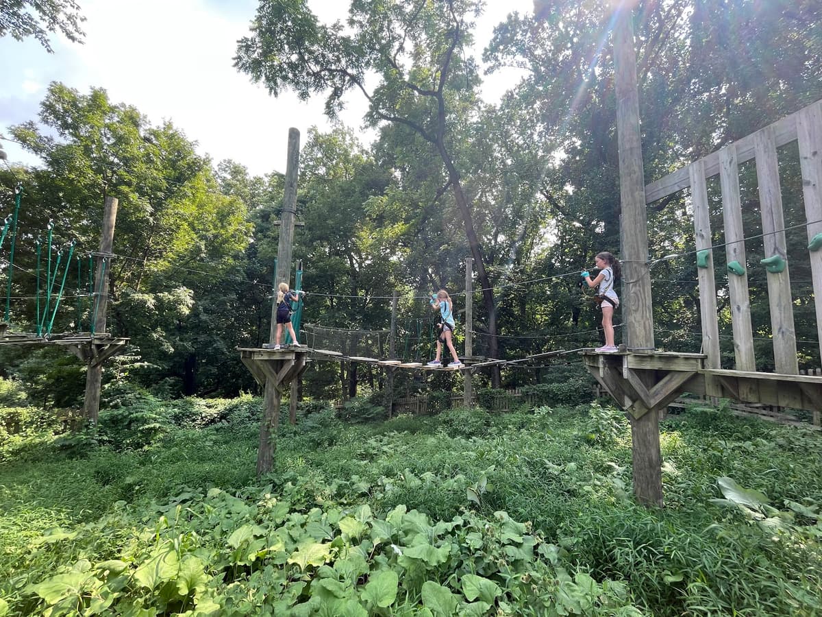 Treetop Quest Philly Adventure Park and Ziplines — photo 1 of 1