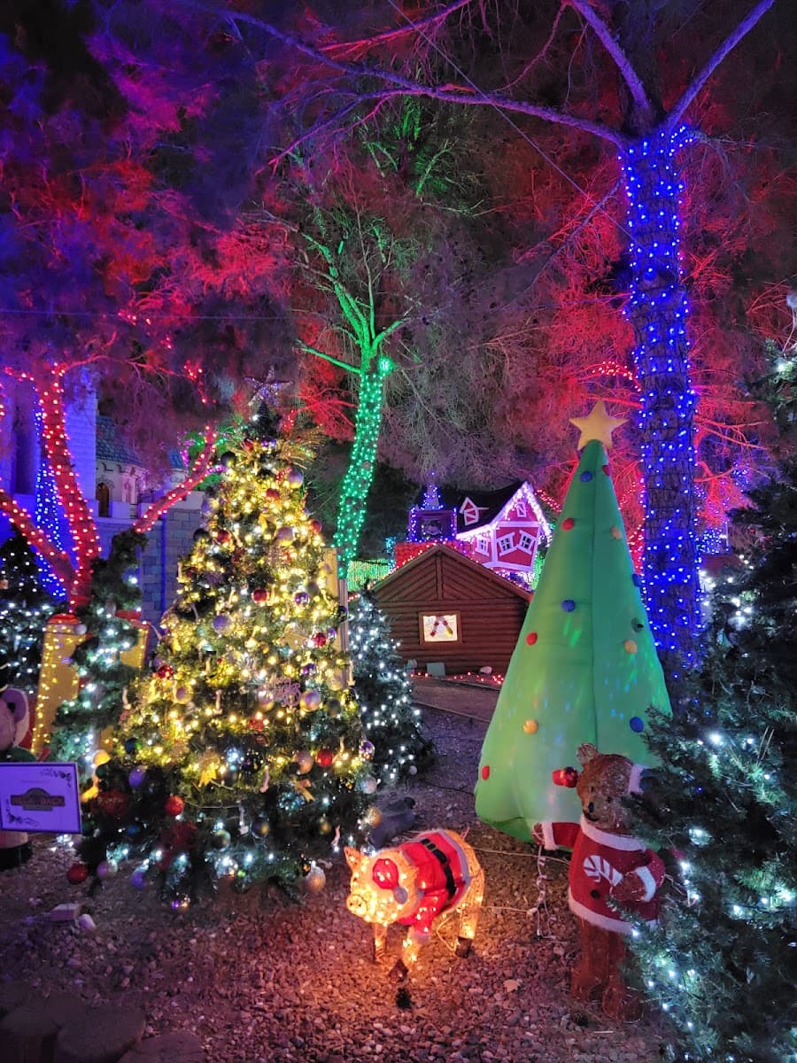 Magical Forest and HallOVeen at Opportunity Village