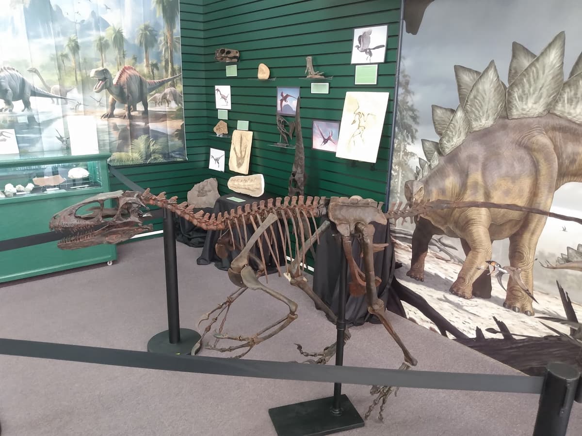 Southern Arizona Museum of Science and Technology