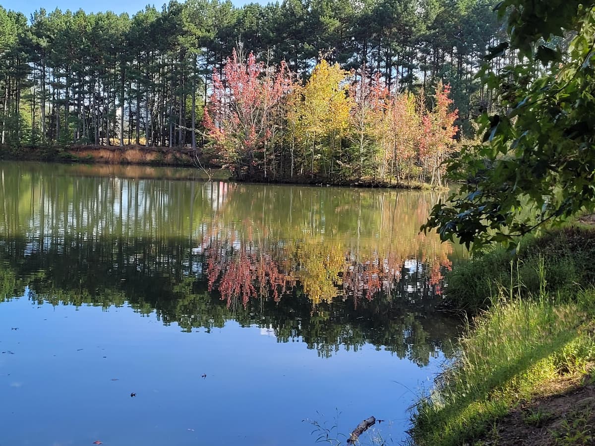J.D. & Annie S. Hays Nature Preserve