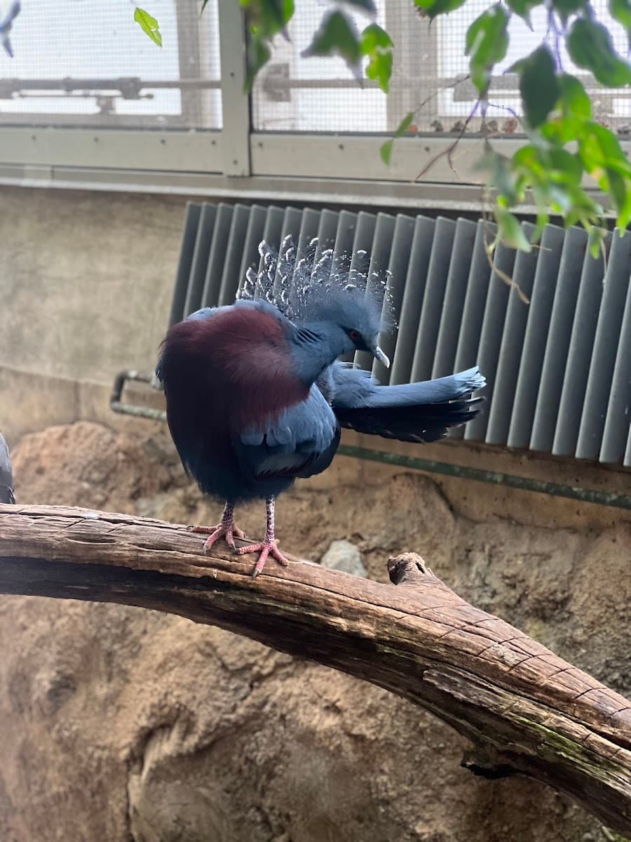 McNeil Avian Center — photo 1 of 1