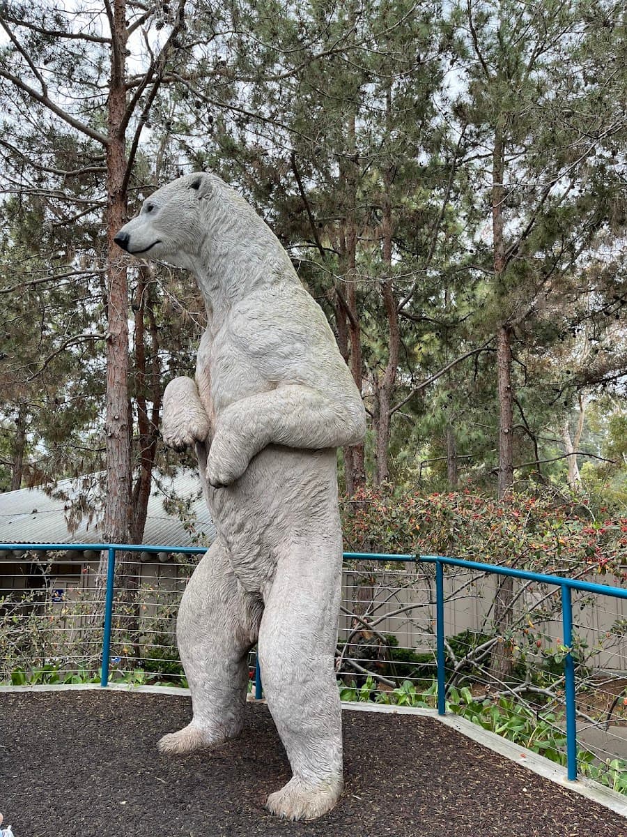 Polar Bear Plunge — photo 1 of 1