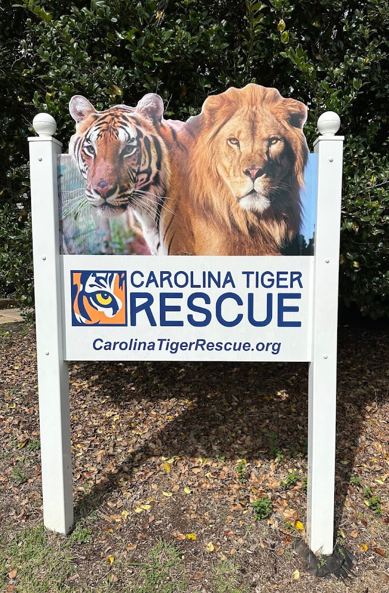 Carolina Tiger Rescue