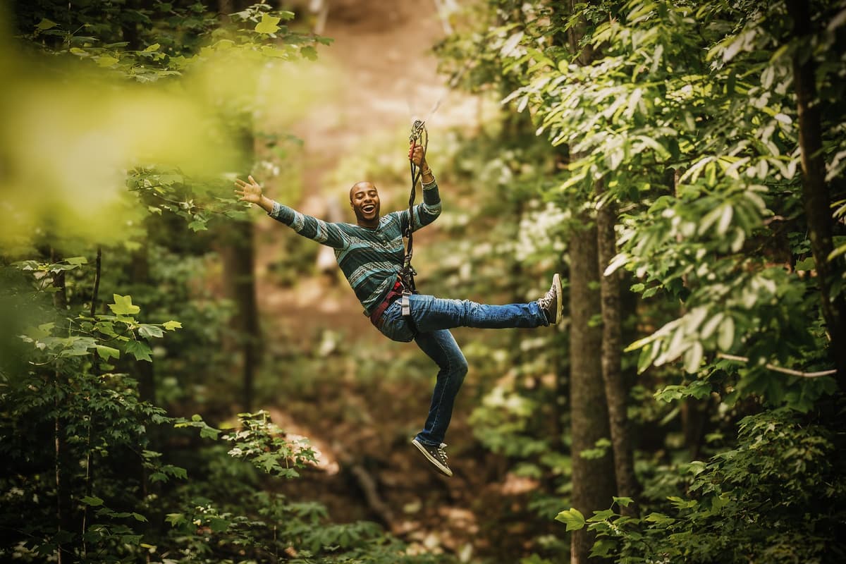 Go Ape Zipline and Adventure Park — photo 1 of 1