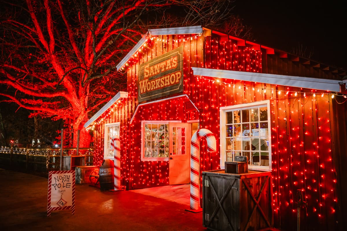 North Pole Adventure