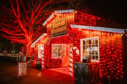 North Pole Adventure