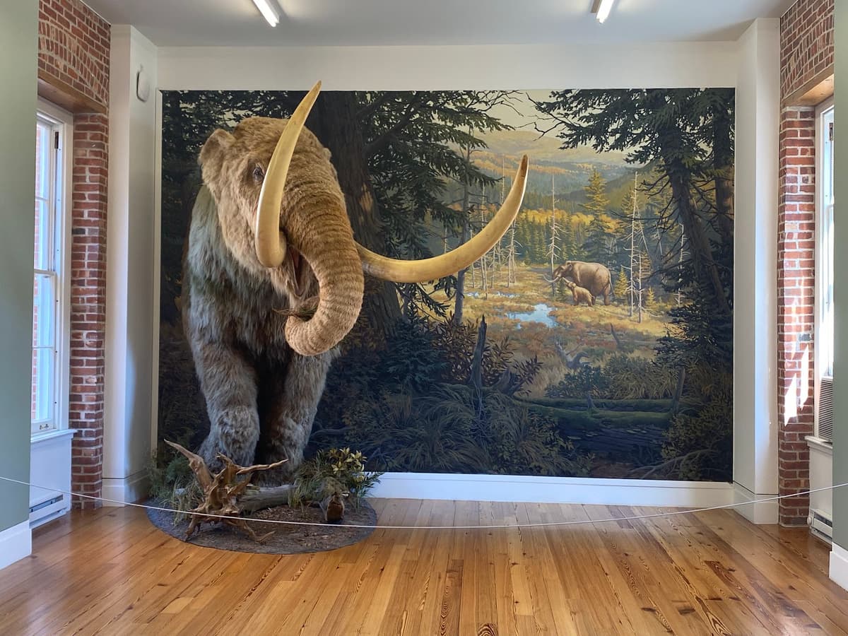 Staten Island Museum — photo 1 of 1