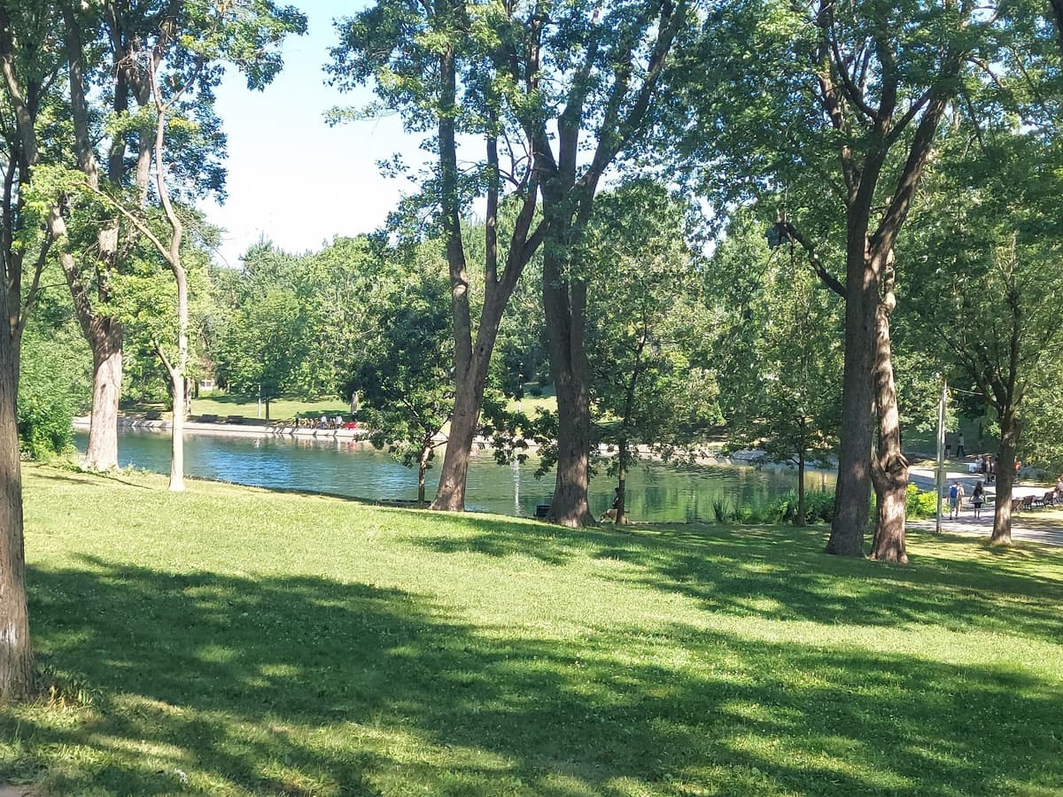 Maison des Arts Participatifs — photo 1 of 1