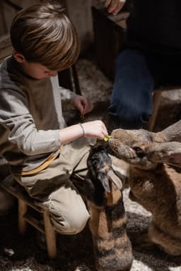 Le Monde de Noe - Centre Montparnasse