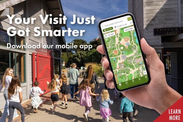 Hearst Grizzly Gulch