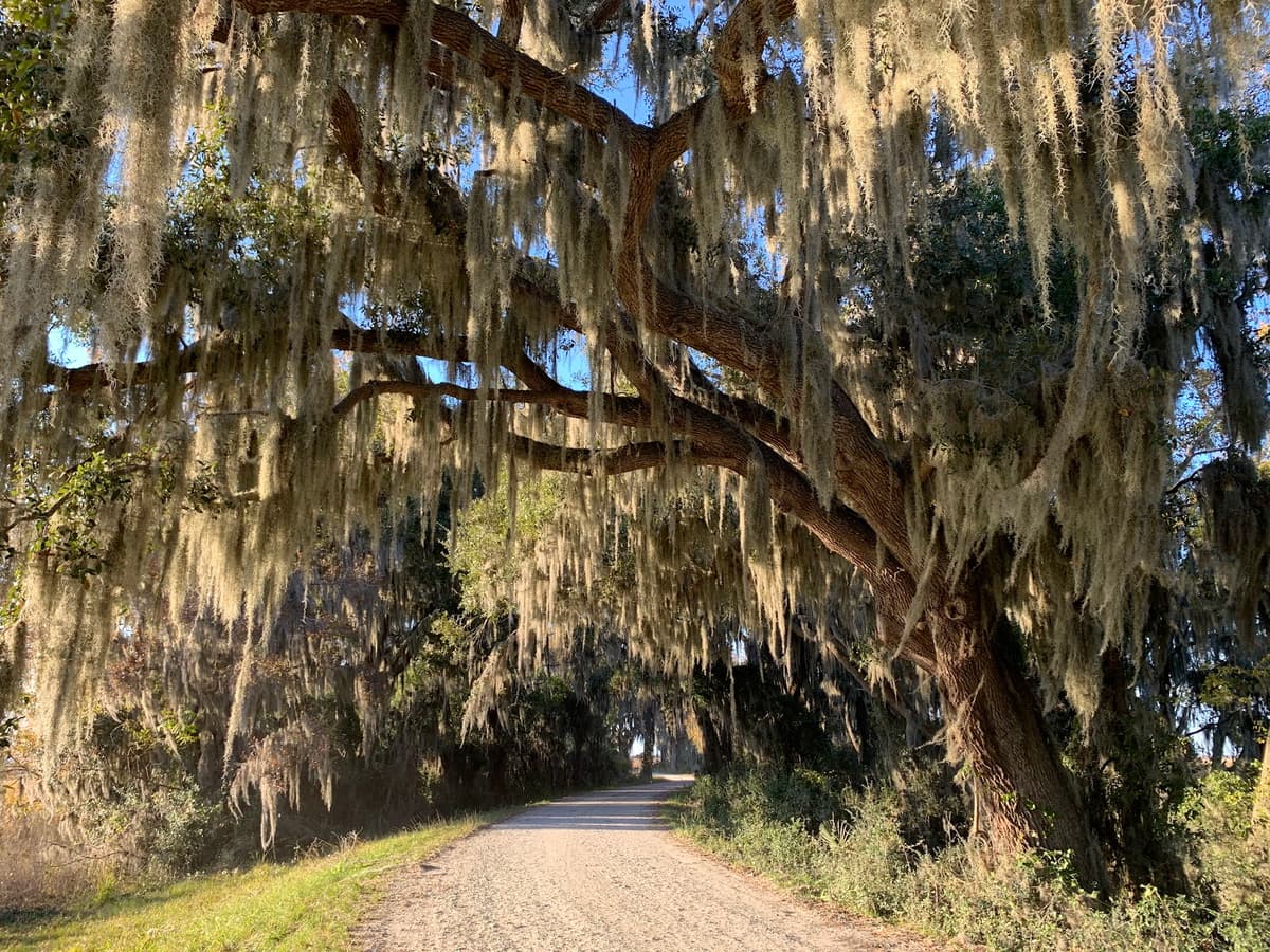 Savannah National Wildlife Refuge — photo 1 of 1