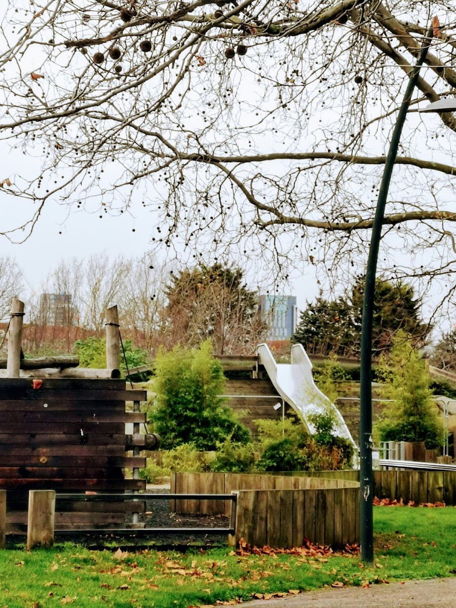 Memorial Park Adventure Trail