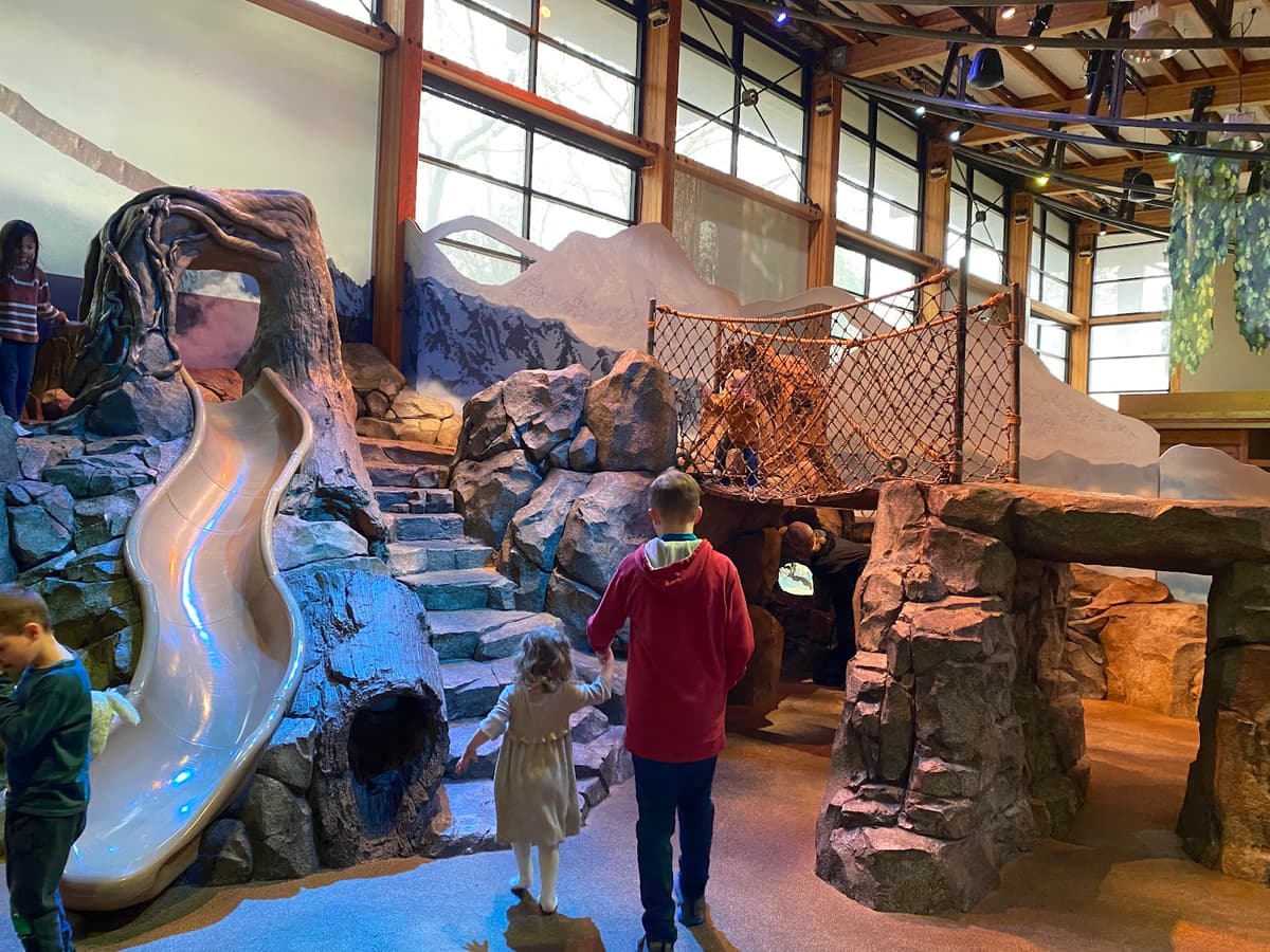 Zoomazium — photo 1 of 1