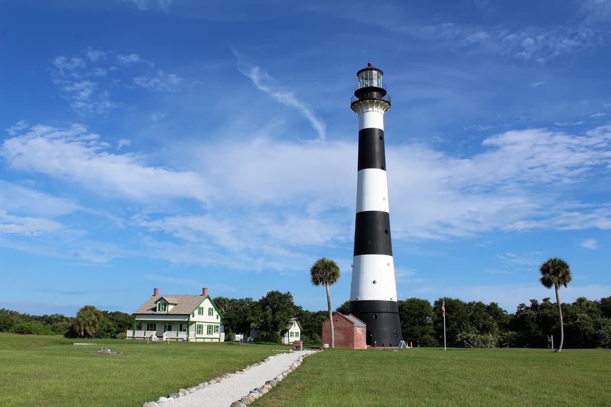 Canaveral Wildlife Tours — photo 1 of 1