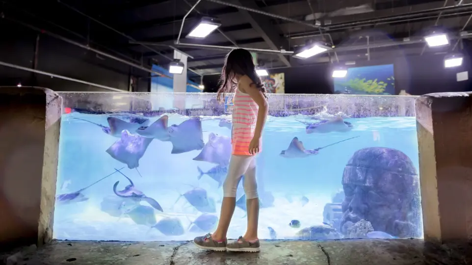 NorCal Aquarium & Wildlife