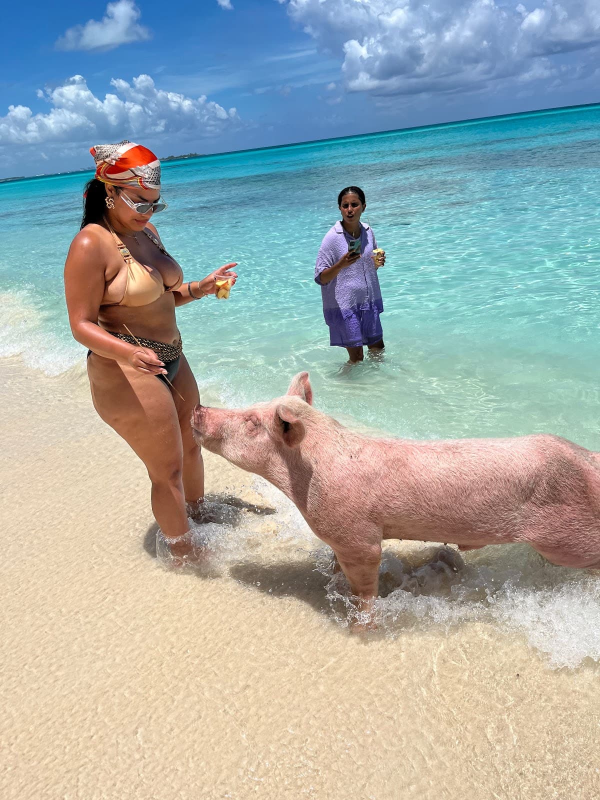 Da'PigBeach