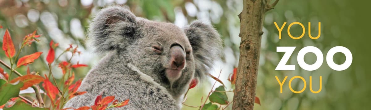 Hearst Grizzly Gulch