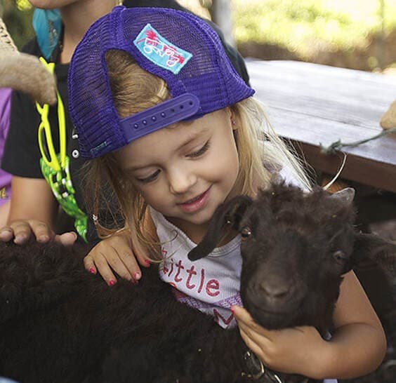 Maui Animal Farm — photo 1 of 2