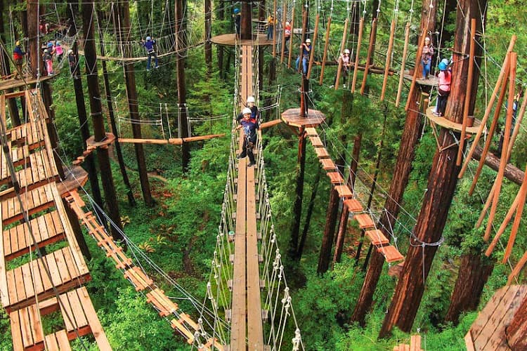 Mount Hermon Adventures