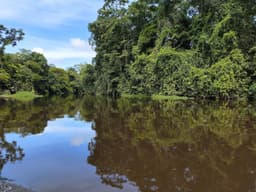 Agencia de viajes Green Stone Adventures