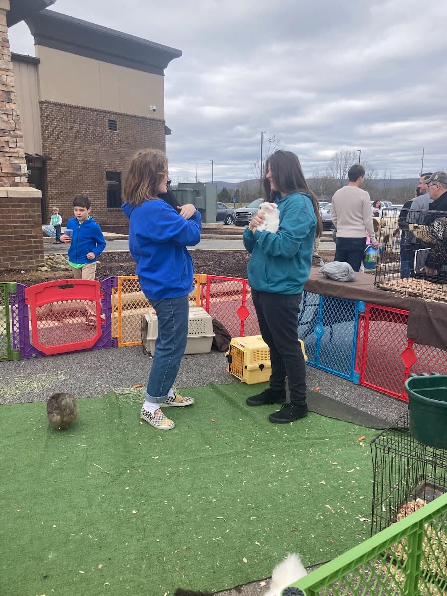 Animals R Us Petting Zoo