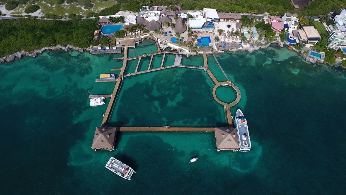 Dolphin Discovery Isla Mujeres