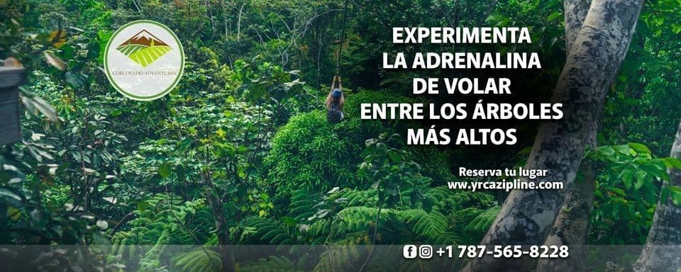 El Yunque Rainforest Corcovado Adventure Zipline Park
