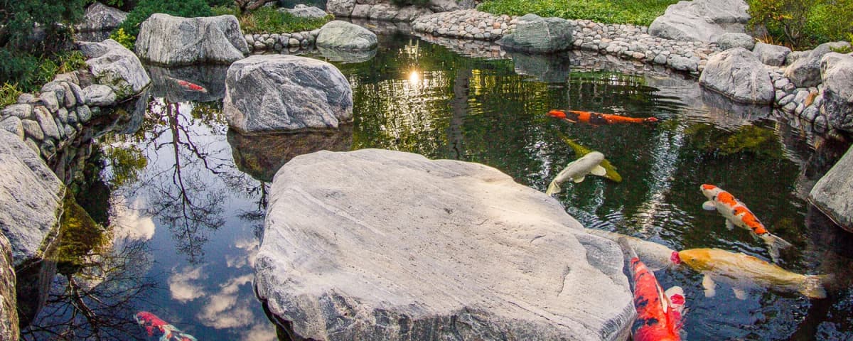 Japanese Friendship Garden & Museum