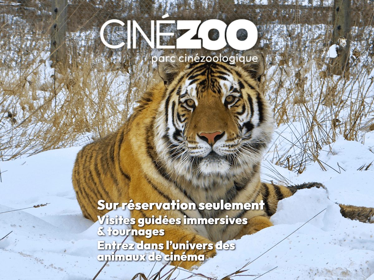 Cinezoo