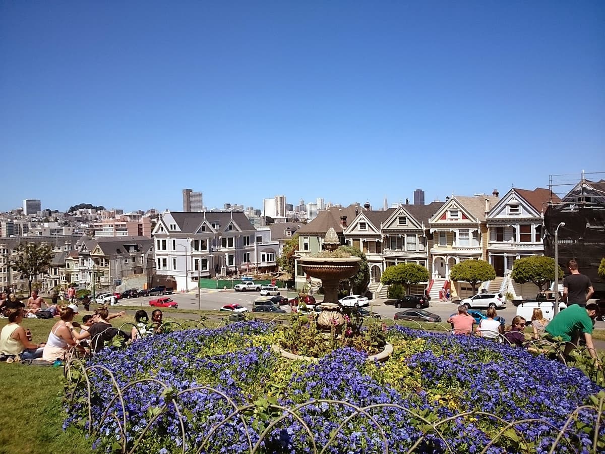Alamo Square Playground — photo 1 of 1