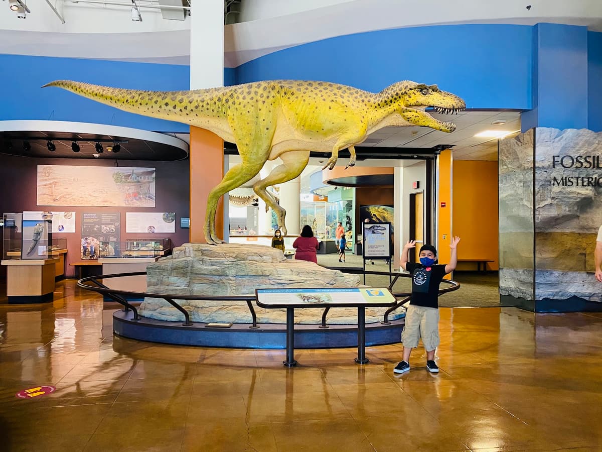 San Diego Natural History Museum — photo 1 of 1