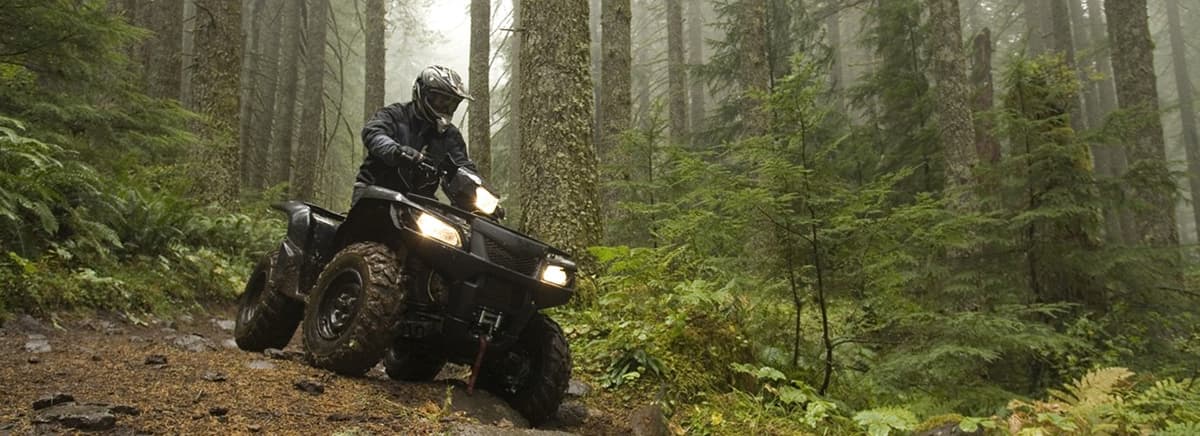 Bluff Mountain Adventures