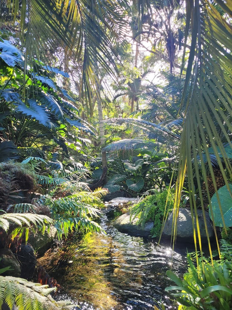 San Diego Botanic Garden Admissions — photo 1 of 1