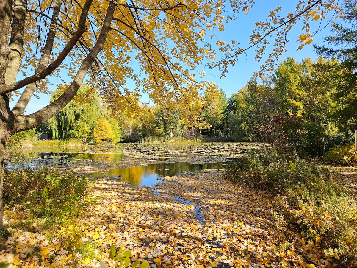 First Nations Garden