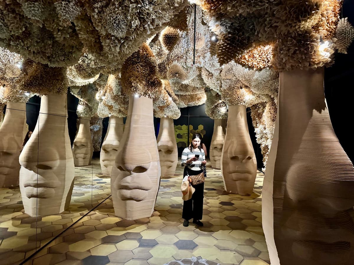 Arcadia Earth Toronto