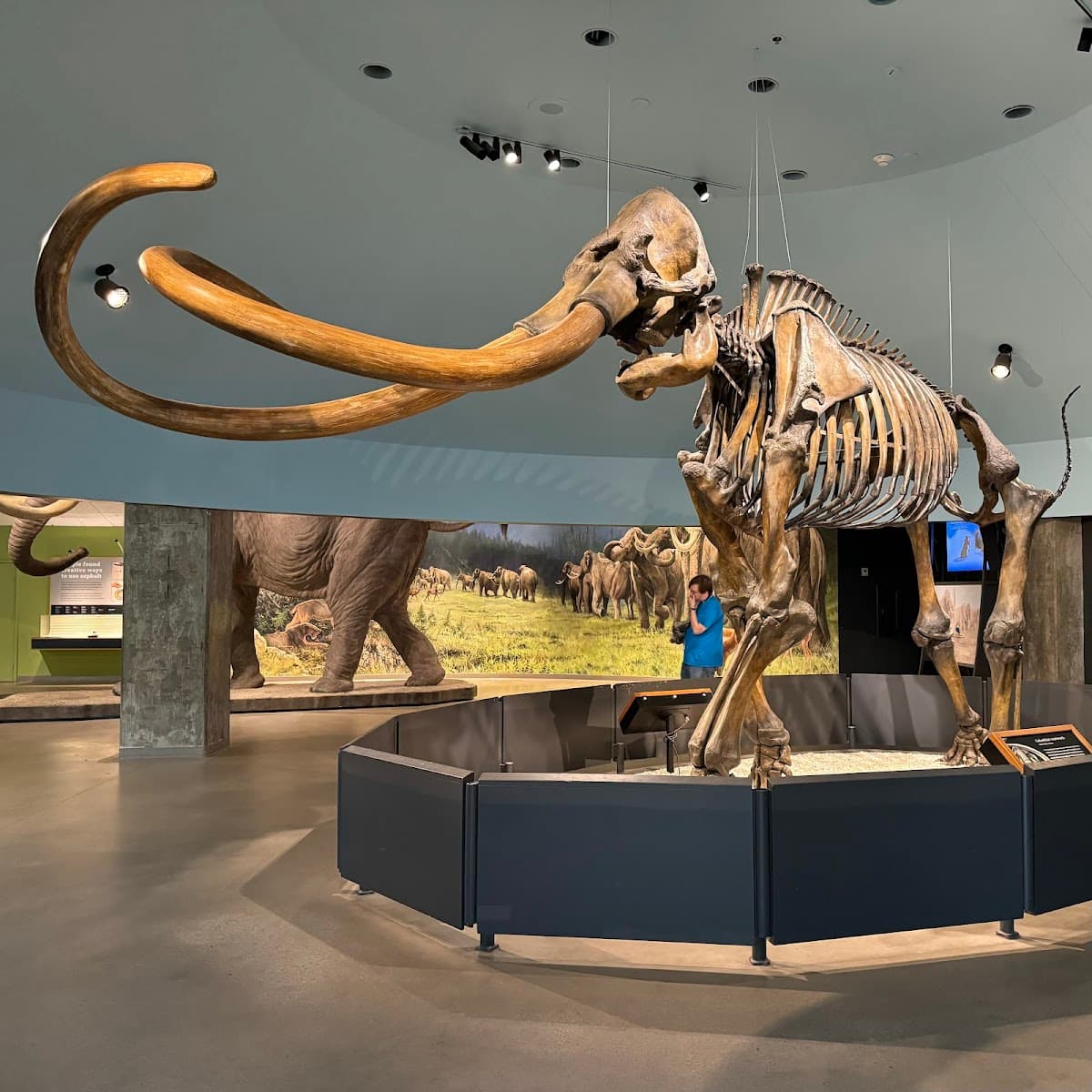 La Brea Tar Pits and Museum — photo 1 of 1