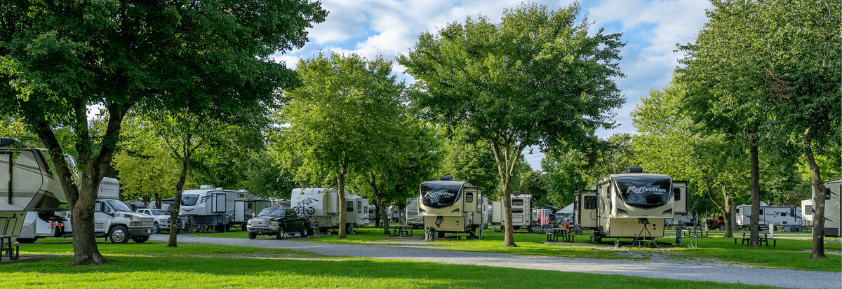 Aerial Adventure Park
