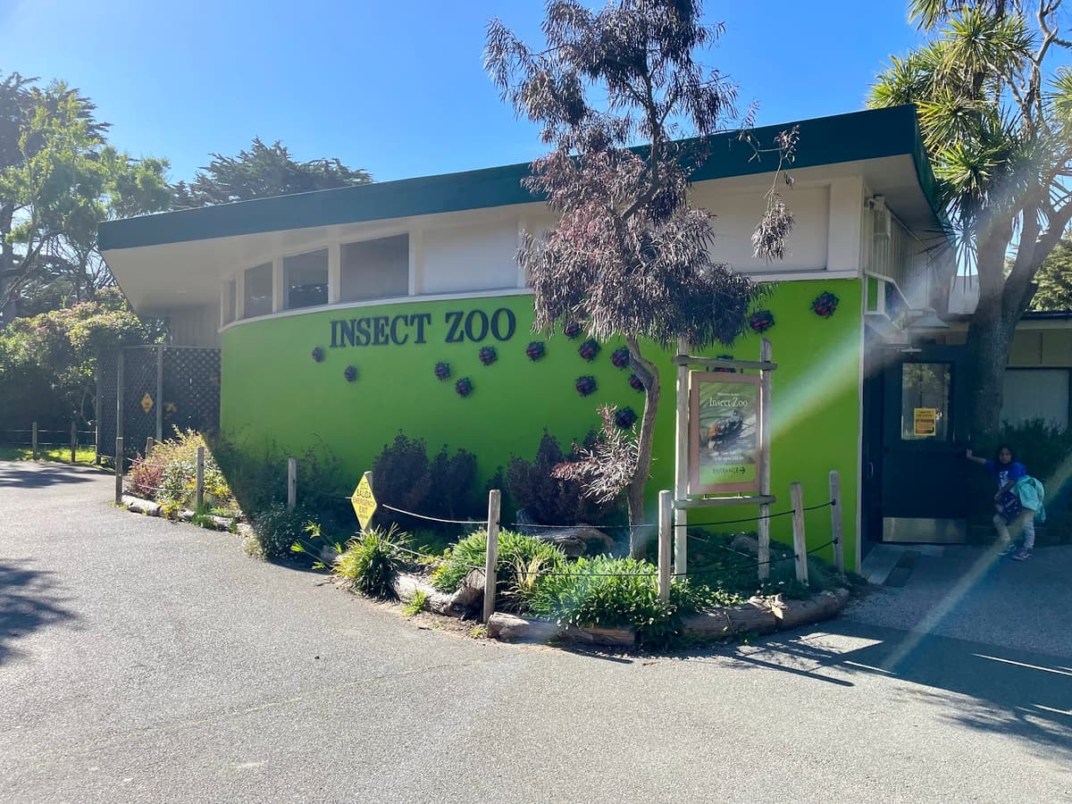 Insect Zoo — photo 1 of 1