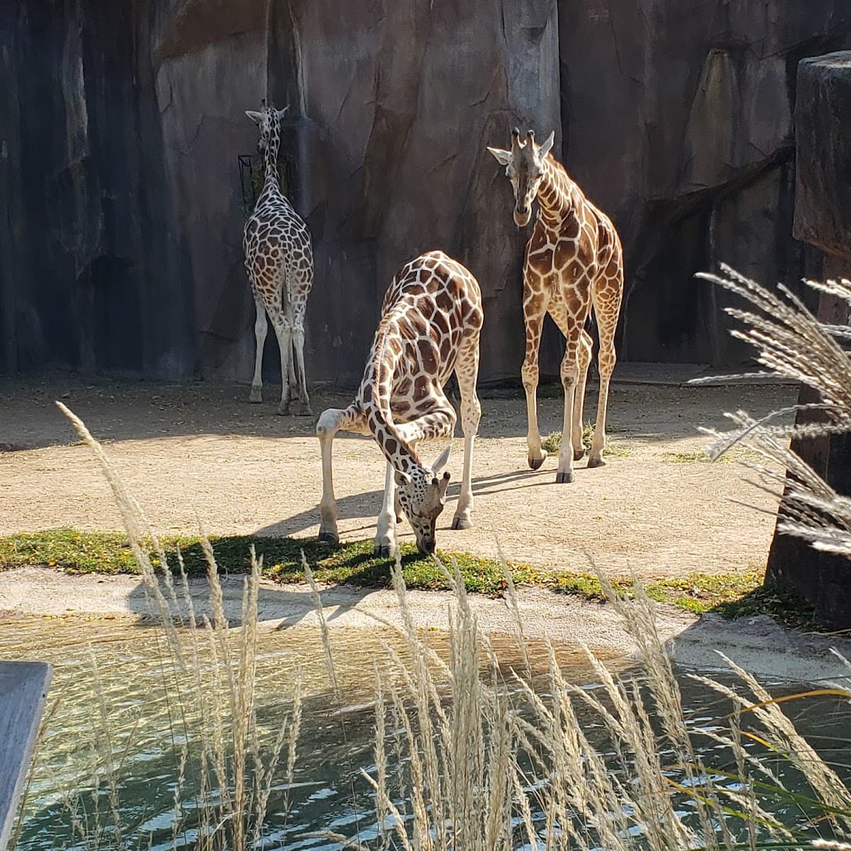 Zoological Society of Milwaukee