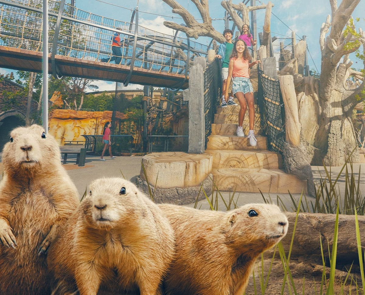 Wildlife Explorers Basecamp