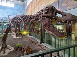 Natural Science Museum La Salle